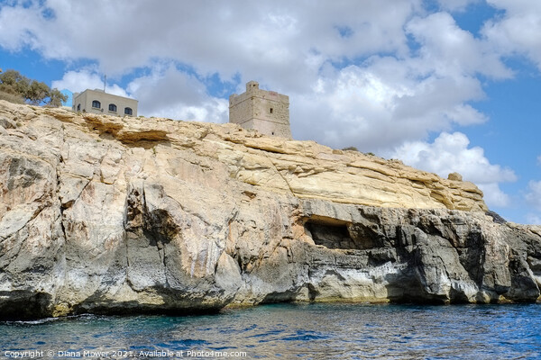 Blue Grotto Watchtower Malta  Picture Board by Diana Mower