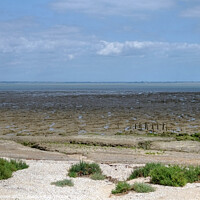 Buy canvas prints of Bradwell on sea mudflats by Diana Mower