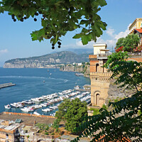 Buy canvas prints of The Port of Sorrento from the Piazza Tasso by Diana Mower