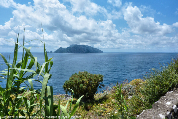 The Island of Capri Bay of Naples Italy Picture Board by Diana Mower