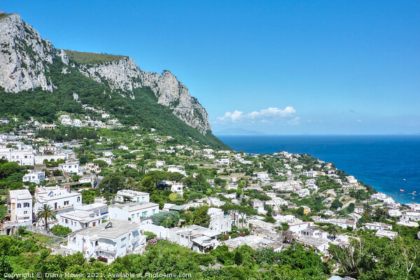 The Island of Capri Italy Picture Board by Diana Mower