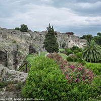 Buy canvas prints of Pompeii Gardens by Diana Mower