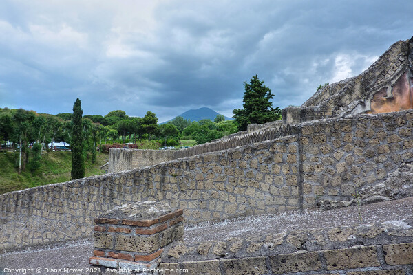 Pompeii and Versuvius Picture Board by Diana Mower