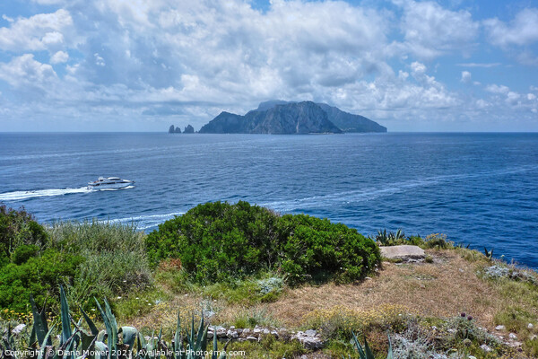 The Island of Capri from Sorrento Picture Board by Diana Mower