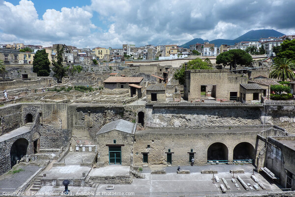 Herculaneum old and New Italy Picture Board by Diana Mower