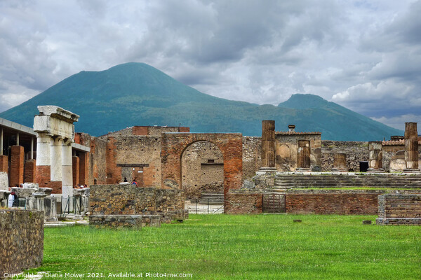 Pompeii and Versuvius Italy Picture Board by Diana Mower