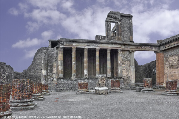 The Ruins of Pompeii Italy Picture Board by Diana Mower