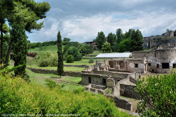 Pompeii ruins and countryside Italy Picture Board by Diana Mower