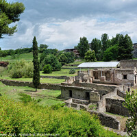 Buy canvas prints of Pompeii ruins and countryside Italy by Diana Mower