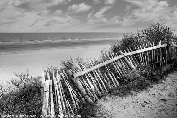 Mablethorpe beach Lincolnshire monochrome Picture Board by Diana Mower