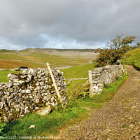 Buy canvas prints of Yorkshire Dales footpath View by Diana Mower