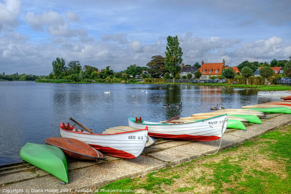 The  Meare Thorpeness Suffolk Picture Board by Diana Mower