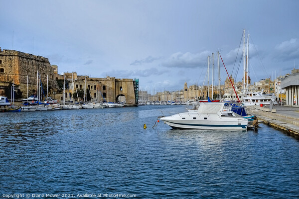 Valletta Grand Harbour Malta Picture Board by Diana Mower