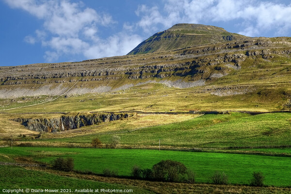 Ingleborough Yorkshire Dales   Picture Board by Diana Mower