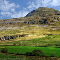 Buy canvas prints of Ingleborough Yorkshire Dales   by Diana Mower
