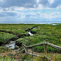 Buy canvas prints of Two Tree Island Marshes  Essex by Diana Mower