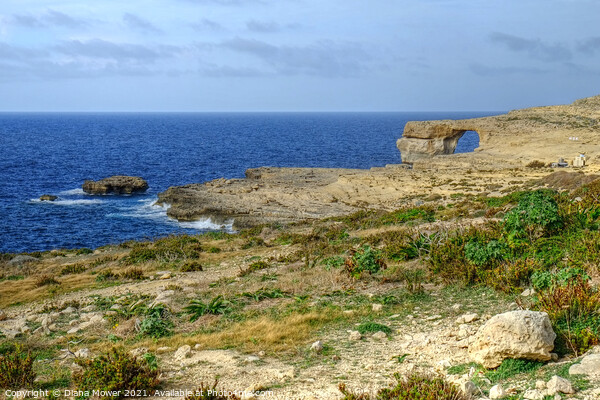 Dwejra bay Gozo Malta Picture Board by Diana Mower