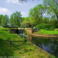 Buy canvas prints of Rushes Lock Ulting Essex by Diana Mower