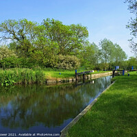 Buy canvas prints of Rushes Lock Chelmer and Blackwater Ulting  by Diana Mower