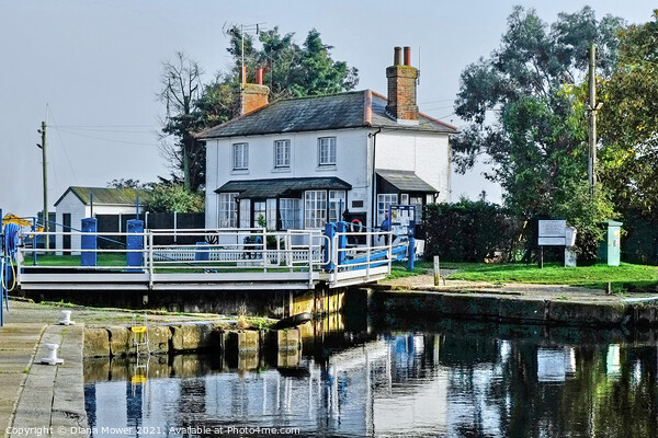 Heybridge Lock keepers Cottage Picture Board by Diana Mower