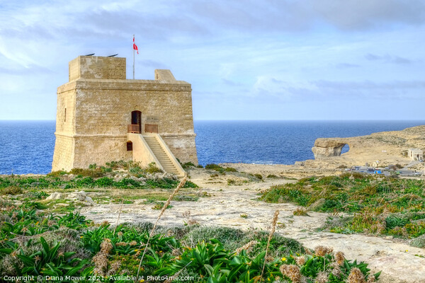  Dwejra Bay Watchtower Gozo Malta Picture Board by Diana Mower