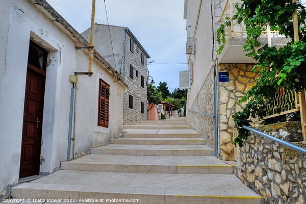 Primosten steps to the hilltop Croatia Picture Board by Diana Mower