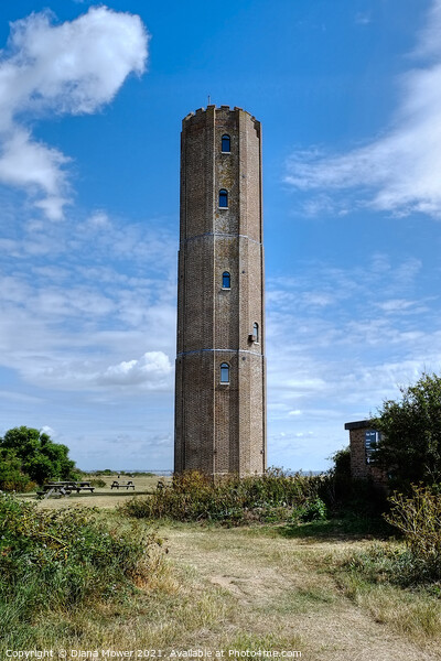 The Naze Tower Walton on the Naze Essex Picture Board by Diana Mower