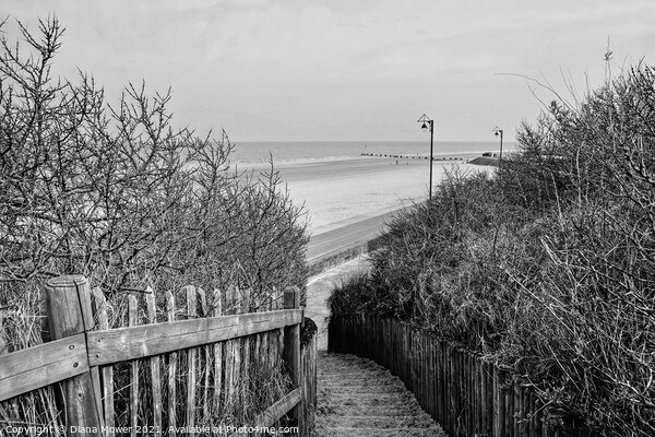 Mablethorpe Lincolnshire in Monochrome Picture Board by Diana Mower