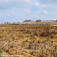 Buy canvas prints of Lincolnshire Countryside Landscape by Diana Mower