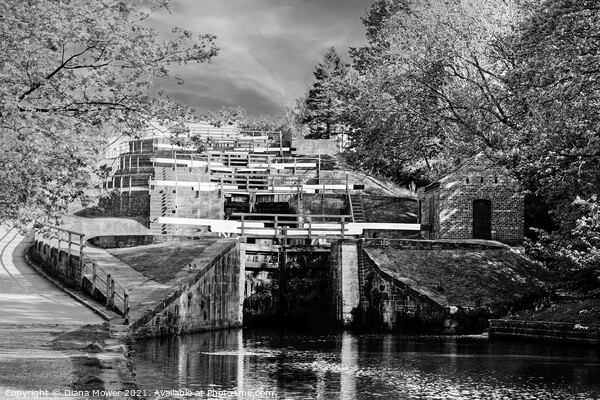 Bingley Five Rise Locks Yorkshire Monochrome Picture Board by Diana Mower