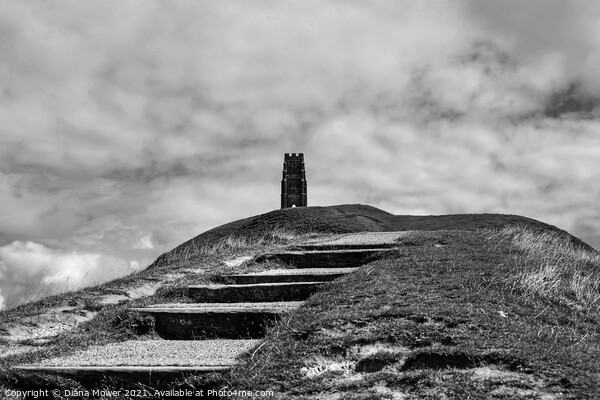 Glastonbury Tor Somerset in Monochrome Picture Board by Diana Mower
