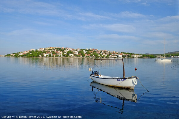 Rogoznica Bay Calm waters Croatia Picture Board by Diana Mower