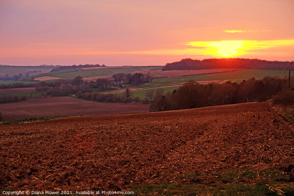Lincolnshire Wolds Sunset Picture Board by Diana Mower
