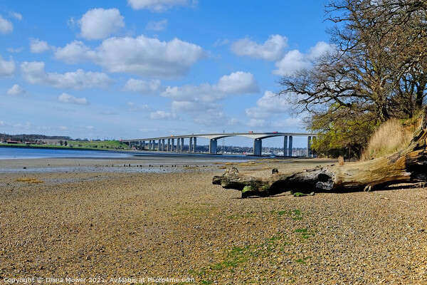 Low tide Orwell  Bridge Suffolk Picture Board by Diana Mower