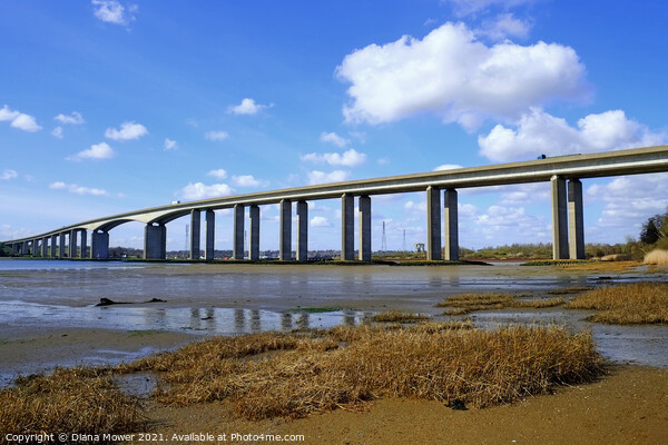  Low tide Orwell  Bridge Suffolk Picture Board by Diana Mower