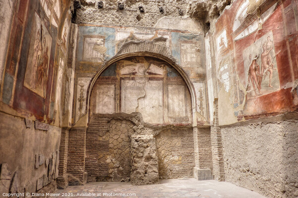 Herculaneum Frescos Italy Picture Board by Diana Mower