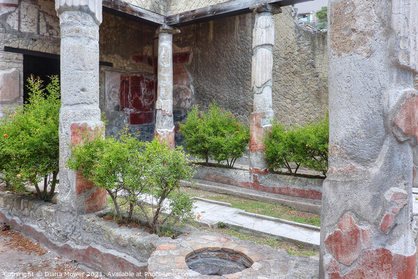 Herculaneum Courtyard garden Italy Picture Board by Diana Mower