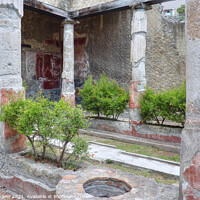 Buy canvas prints of Herculaneum Courtyard garden Italy by Diana Mower