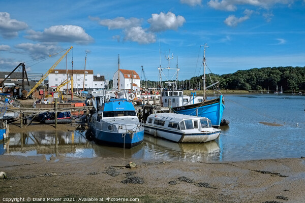 Woodbridge tide mill and Quay Picture Board by Diana Mower