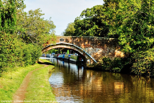 Princefield Bridge Penkridge Canal Staffordshire Picture Board by Diana Mower
