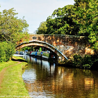 Buy canvas prints of Princefield Bridge Penkridge Canal Staffordshire by Diana Mower