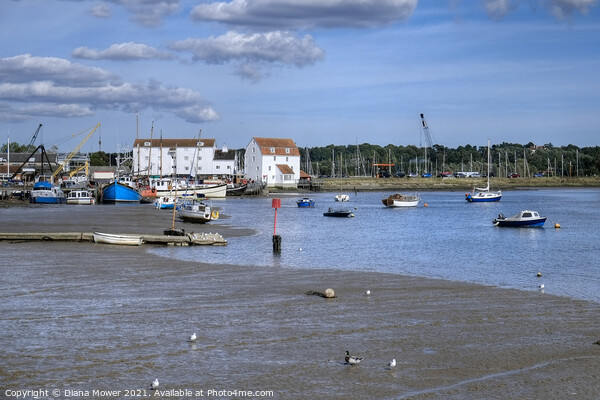 Low Tide Woodbridge tide mill Suffolk Picture Board by Diana Mower