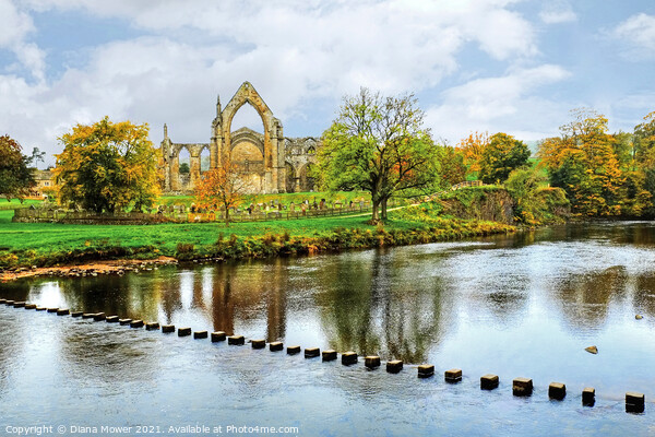 Bolton Abbey River Wharfe Yorkshire Picture Board by Diana Mower