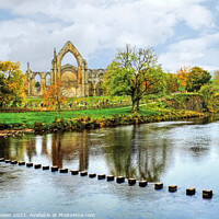 Buy canvas prints of Bolton Abbey River Wharfe Yorkshire by Diana Mower