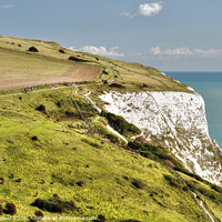 Buy canvas prints of Dover White Cliffs  by Diana Mower