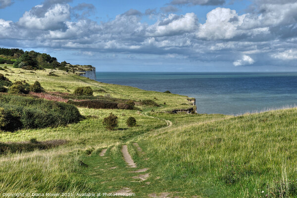 Dover Cliff top footpath Kent Picture Board by Diana Mower