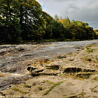 Buy canvas prints of Aysgarth Lower Falls Yorkshire  by Diana Mower
