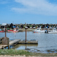 Buy canvas prints of Walberswick to Southwold  Suffolk by Diana Mower