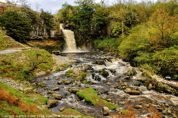 Thornton Force river Twiss Yorkshire Picture Board by Diana Mower