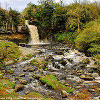 Buy canvas prints of Thornton Force river Twiss Yorkshire by Diana Mower